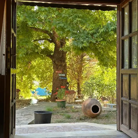 Denge Hidden Garden *